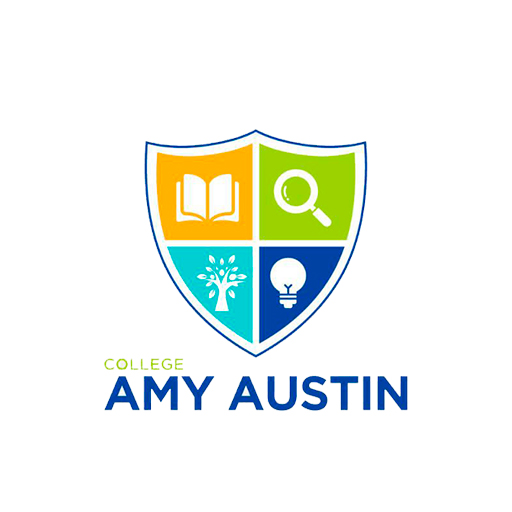 respaldo amy